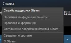 Поддръжка на Steam и тънкостите на нейната работа