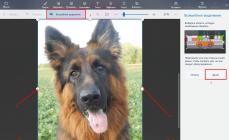 Създаване на прозрачен фон във Photoshop и Paint - основни и ефективни инструменти