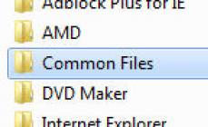 Vanlige filer, hva er dette programmet og er det nødvendig?